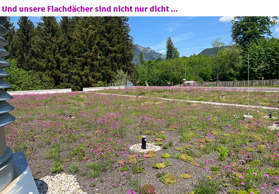 Firmenhauptsitz Söldner Haustechnik Spenglerei BlaichacherStr Burgberg