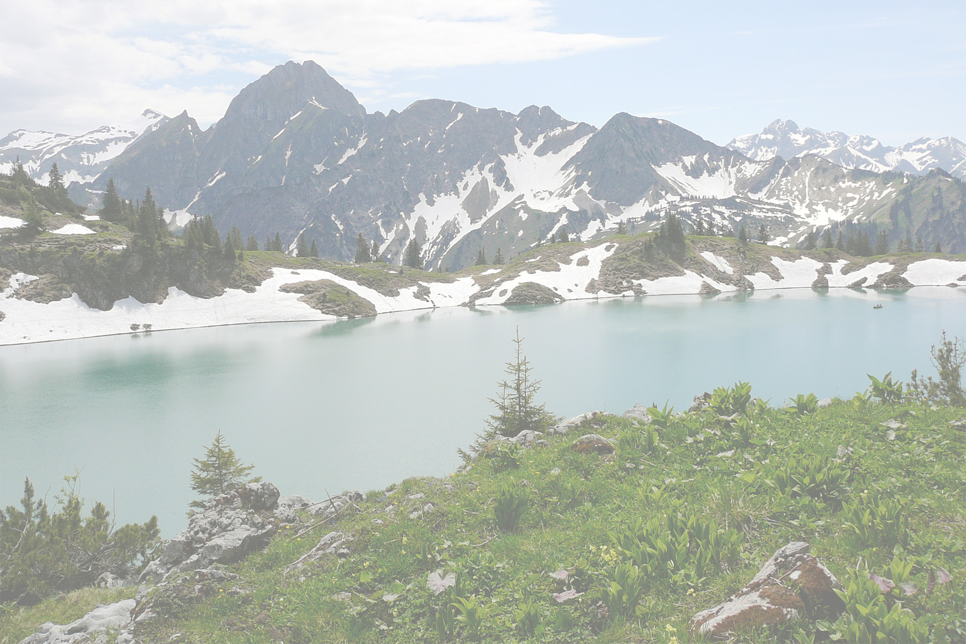 Background 0003
